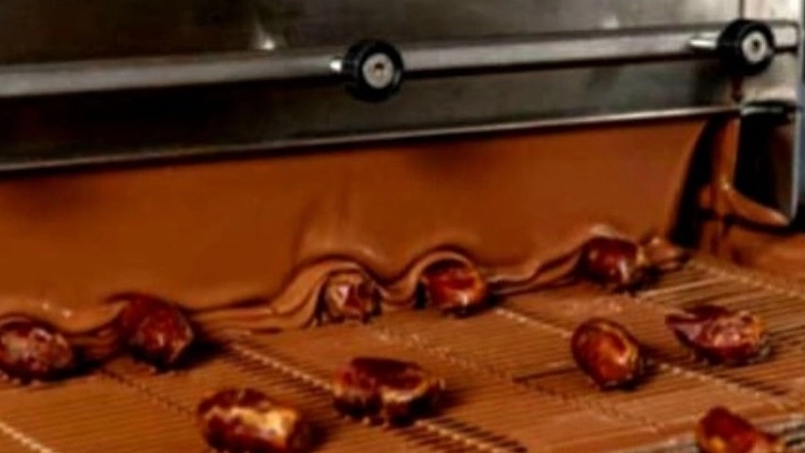 مشاوره خط خرما در تبریز مشاوره خط خرما در تبریز